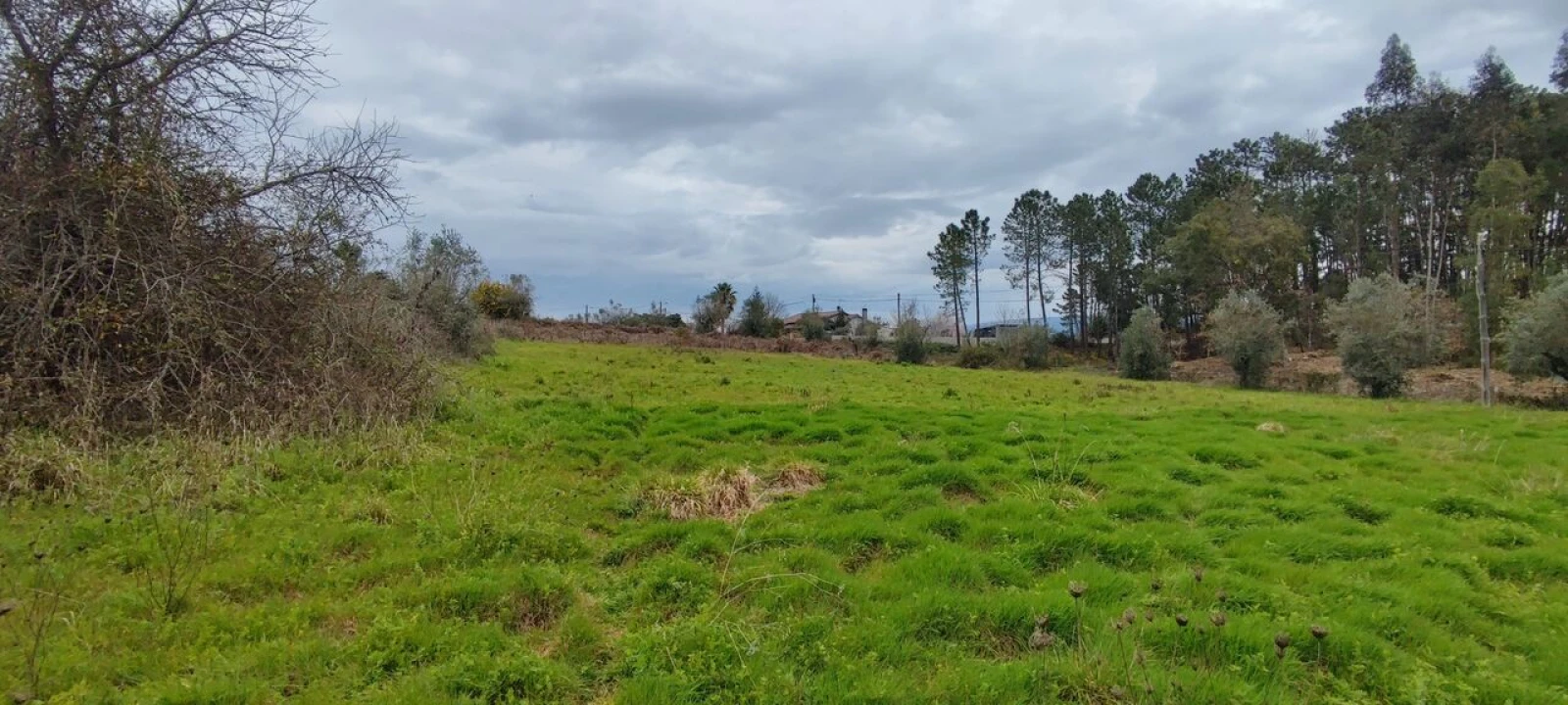 Terreno para Venda em Leiria, Pousos, Barreira e Cortes Foto 3