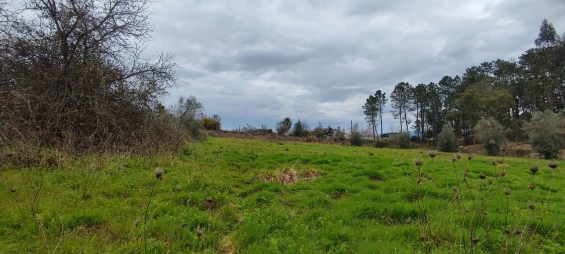 Terreno para Venda em Leiria, Pousos, Barreira e Cortes Foto 4