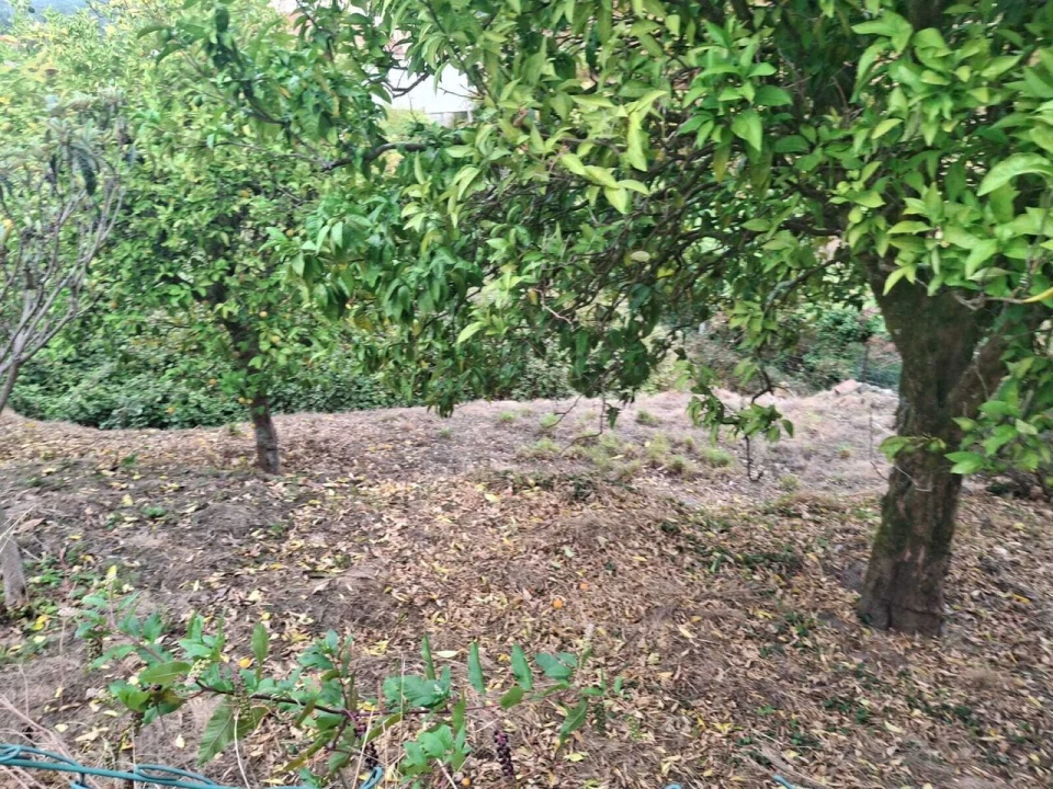 Moradia T3 para Venda em Merufe Foto 20