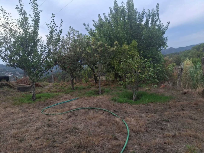 Moradia T3 para Venda em Merufe Foto 18