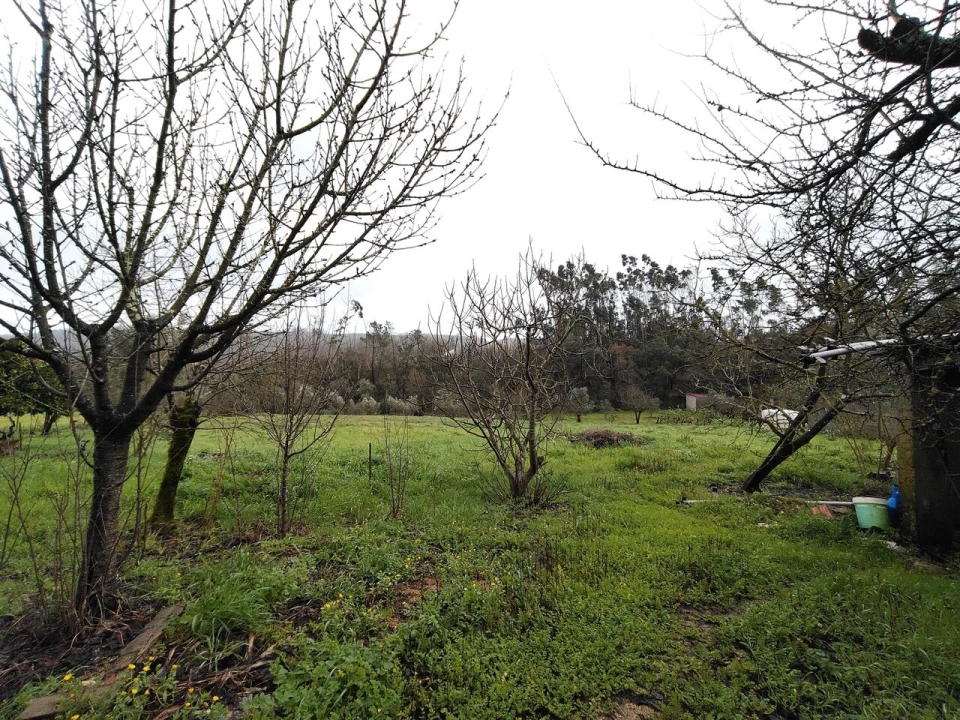 Moradia T4 para Venda em Pussos São Pedro Foto 62