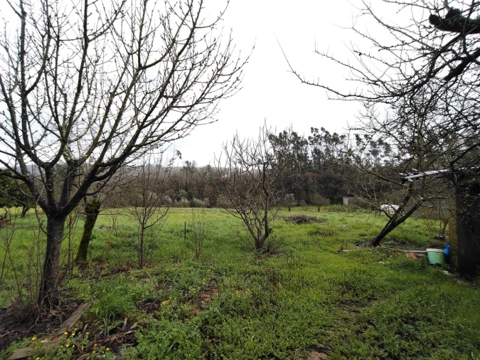 Moradia T4 para Venda em Pussos São Pedro Foto 62