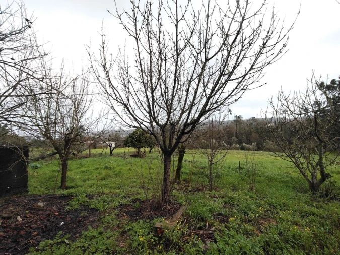 Moradia T4 para Venda em Pussos São Pedro Foto 61