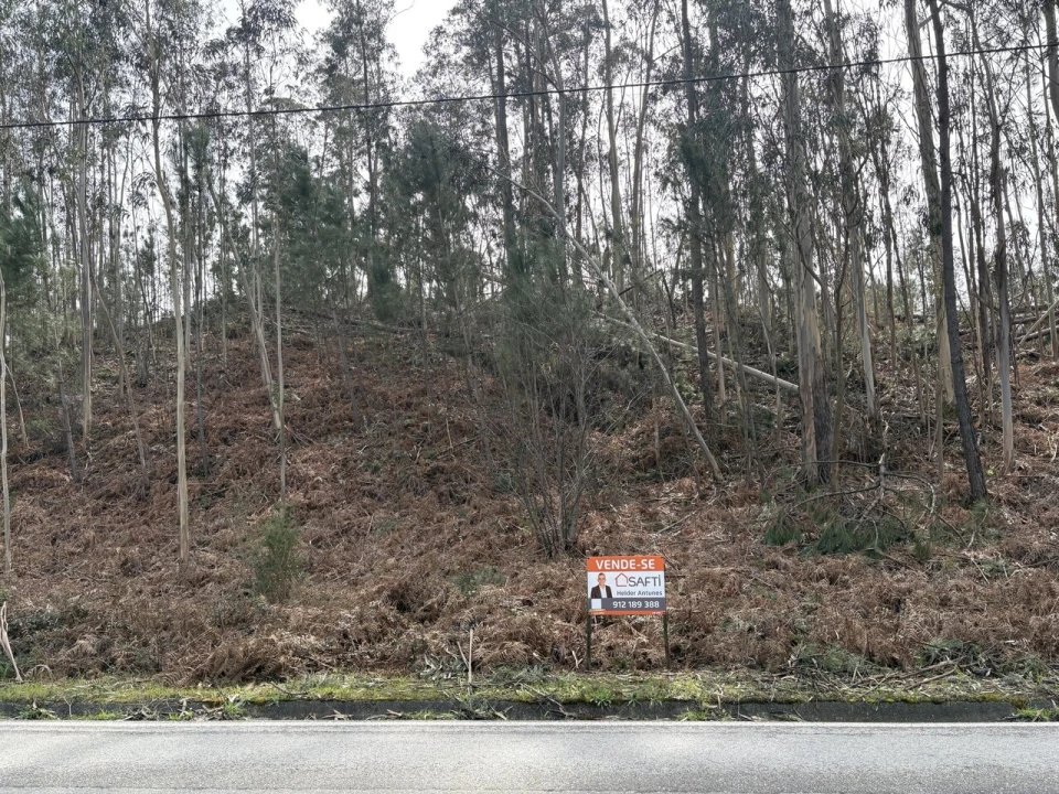 Terreno para Venda em Pombal Foto 13
