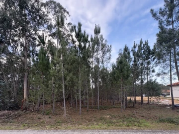 Terreno para Venda em Pombal