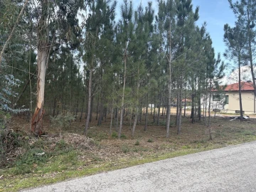 Terreno para Venda em Pombal