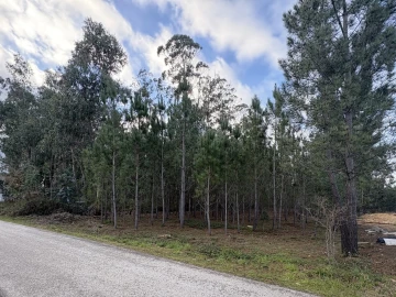 Terreno para Venda em Pombal
