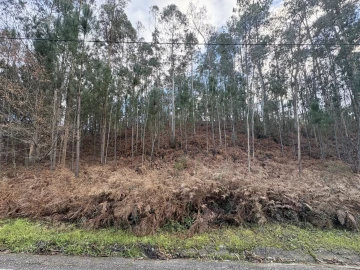 Terreno para Venda em Pombal