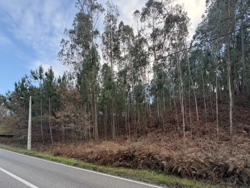 Terreno para Venda em Pombal