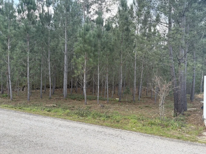 Terreno para Venda em Pombal Foto 5