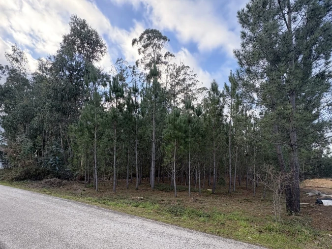 Terreno para Venda em Pombal Foto 6