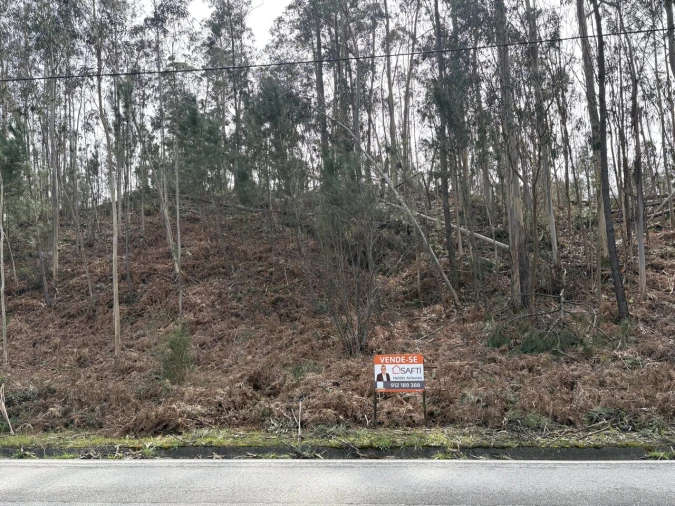 Terreno para Venda em Pombal Foto 11