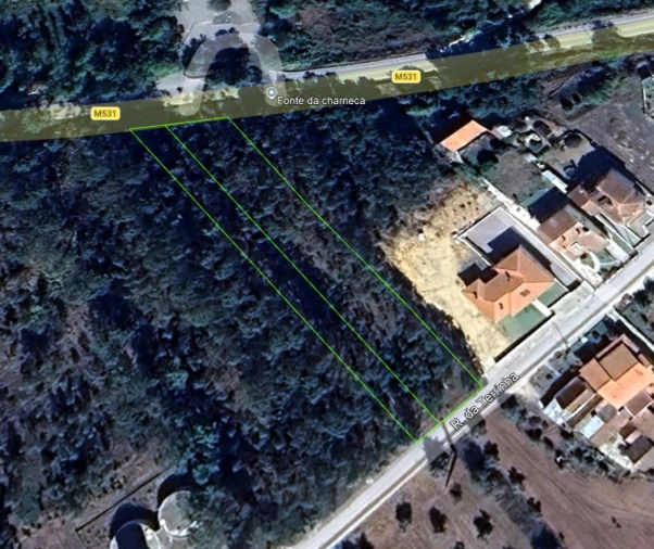 Terreno para Venda em Pombal Foto 14
