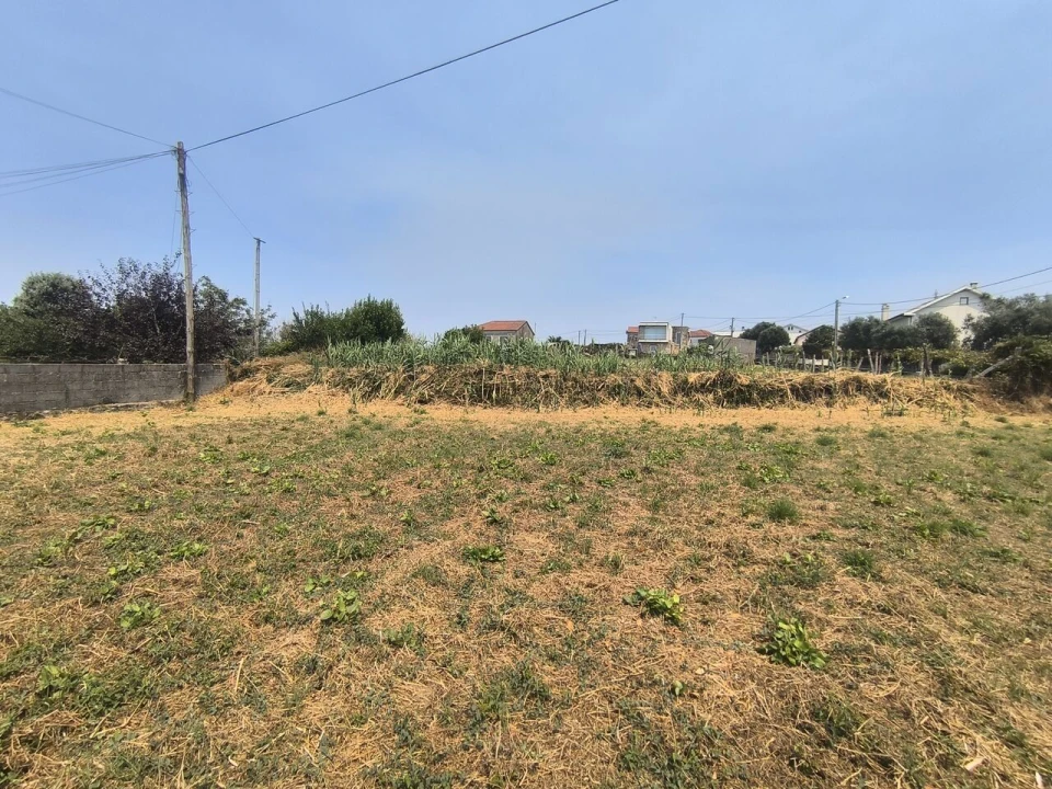 Terreno para Venda em Antas Foto 3