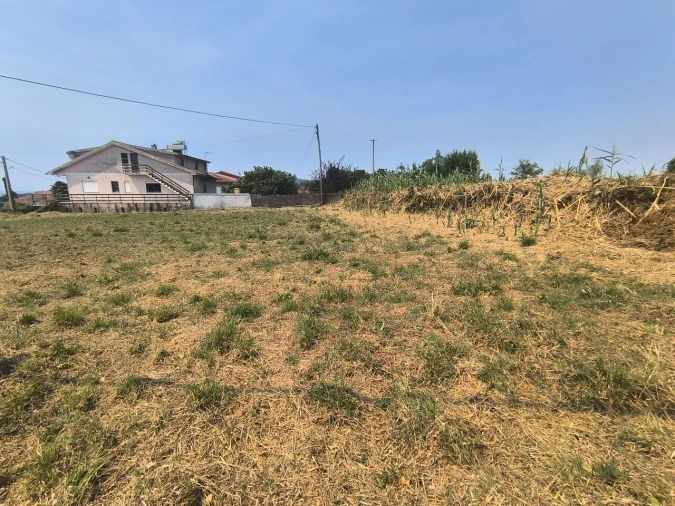 Terreno para Venda em Antas Foto 5