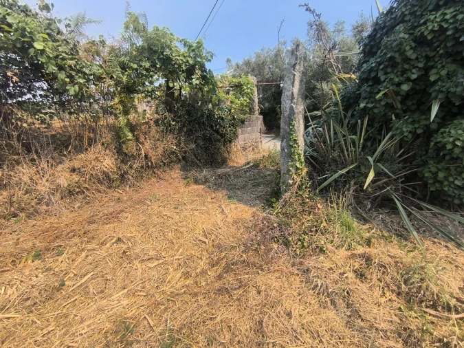 Terreno para Venda em Antas Foto 6