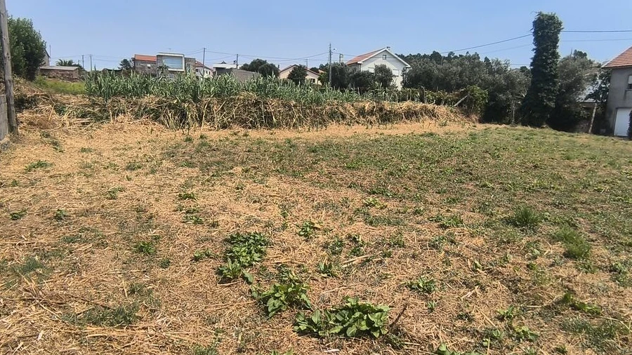 Terreno para Venda em Antas
