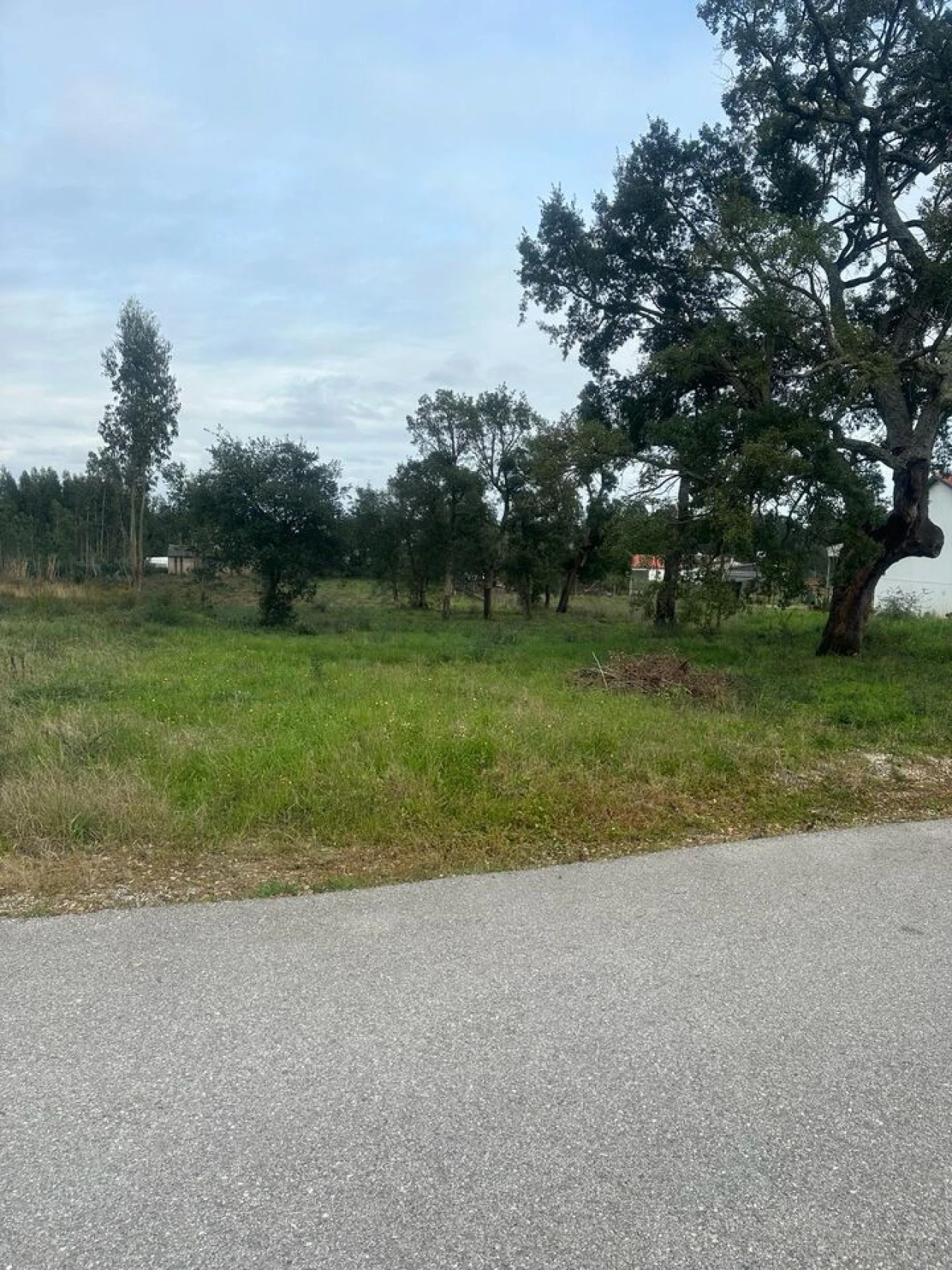 Terreno para Venda em Amor Foto 11