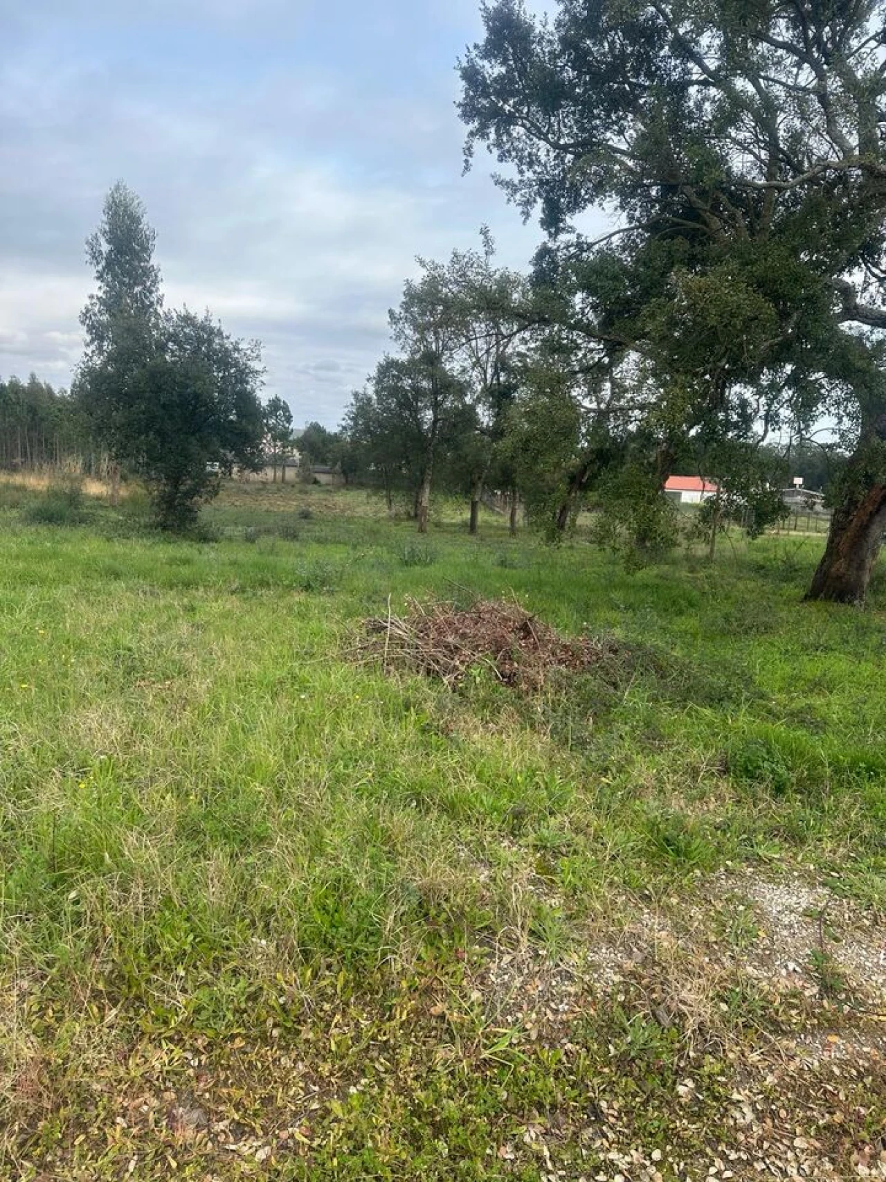 Terreno para Venda em Amor Foto 13