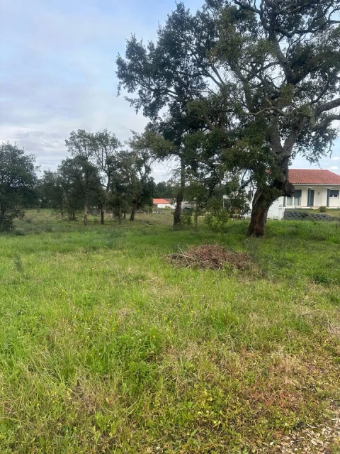 Terreno para Venda em Amor