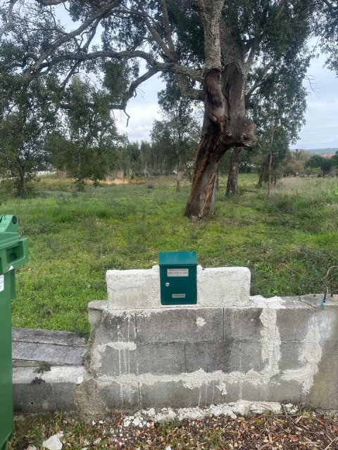 Terreno para Venda em Amor