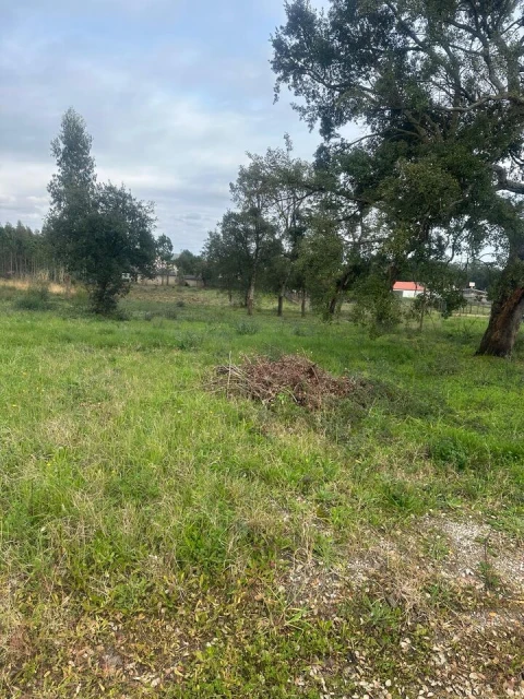 Terreno para Venda em Amor