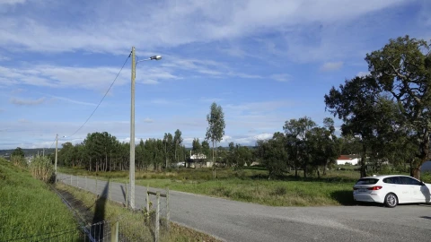 Terreno para Venda em Amor