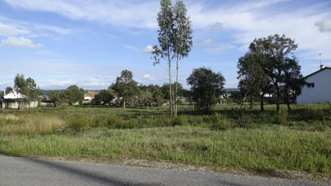 Terreno para Venda em Amor