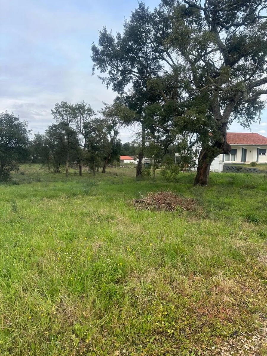 Terreno para Venda em Amor Foto 10