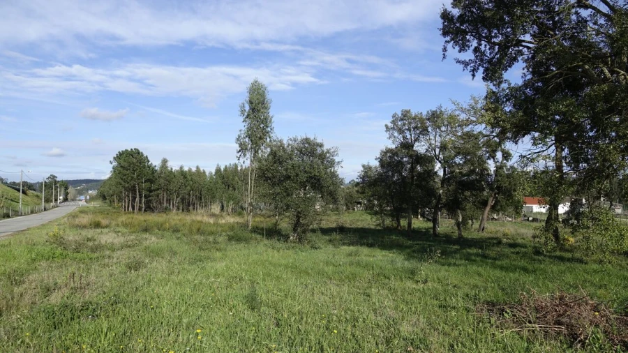 Terreno para Venda em Amor Foto 3