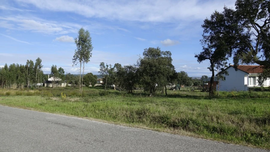 Terreno para Venda em Amor Foto 5