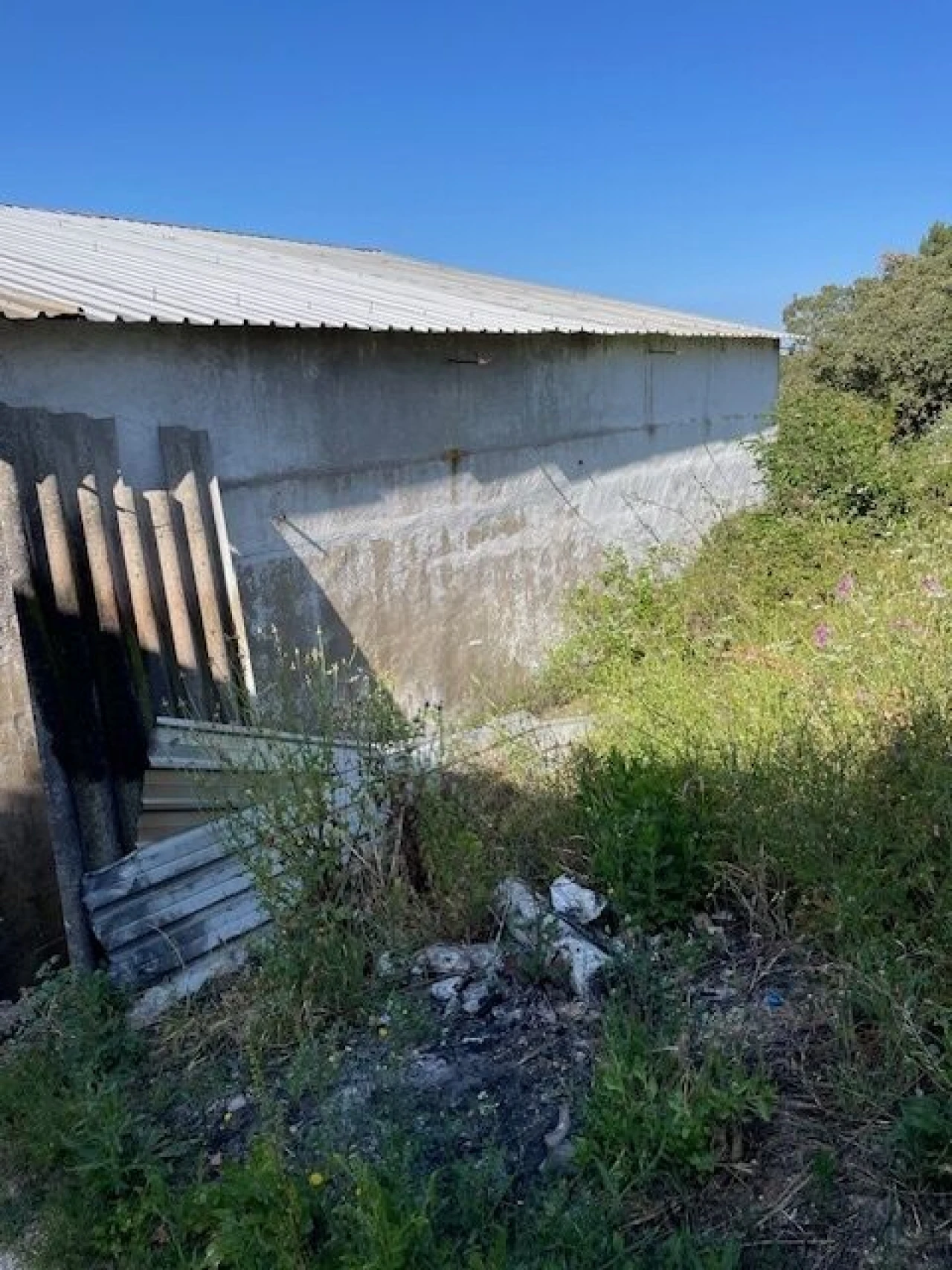 Terreno para Venda em São João Baptista e Santa Maria dos Olivais Foto 10