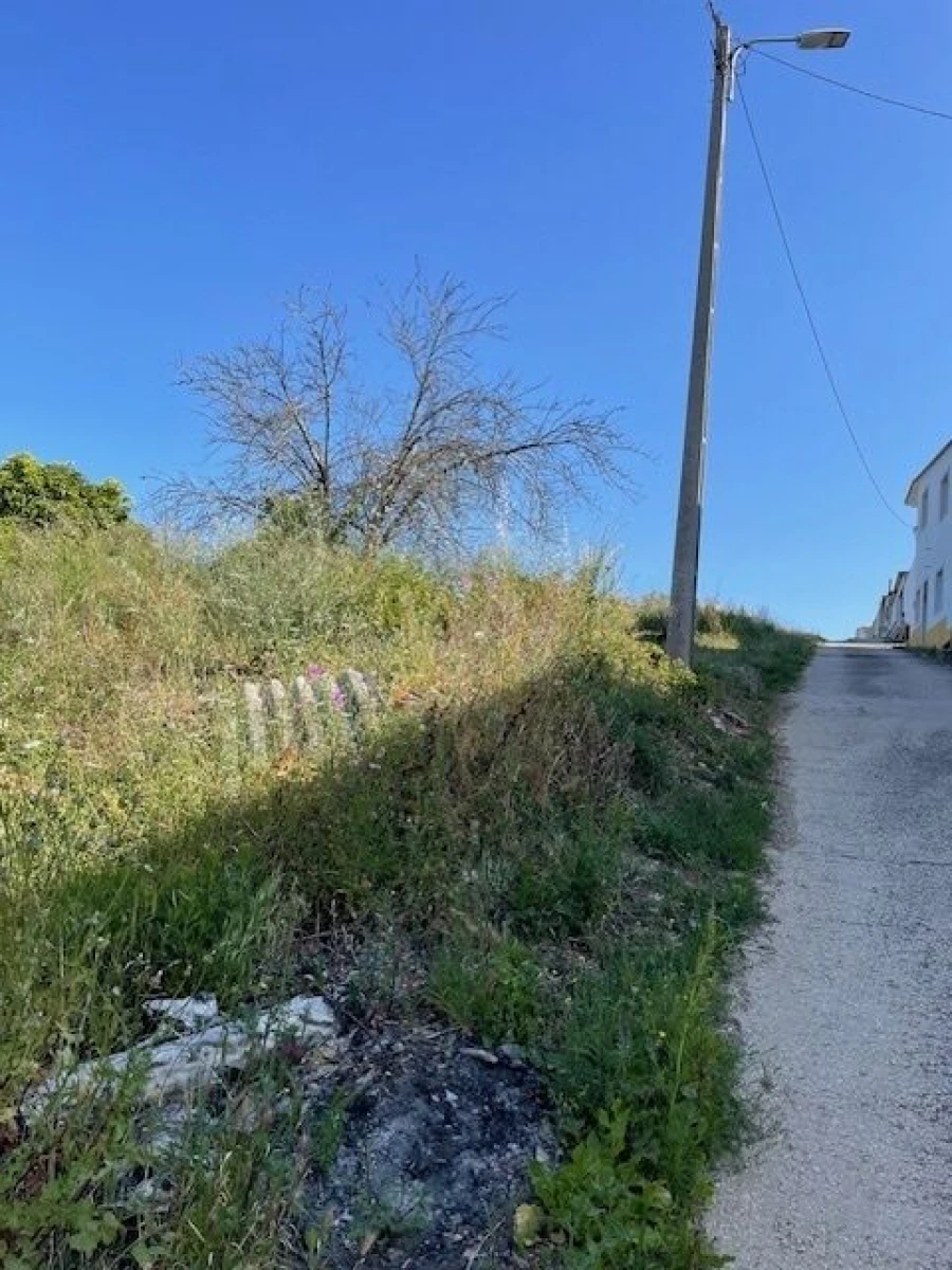 Terreno para Venda em São João Baptista e Santa Maria dos Olivais Foto 6