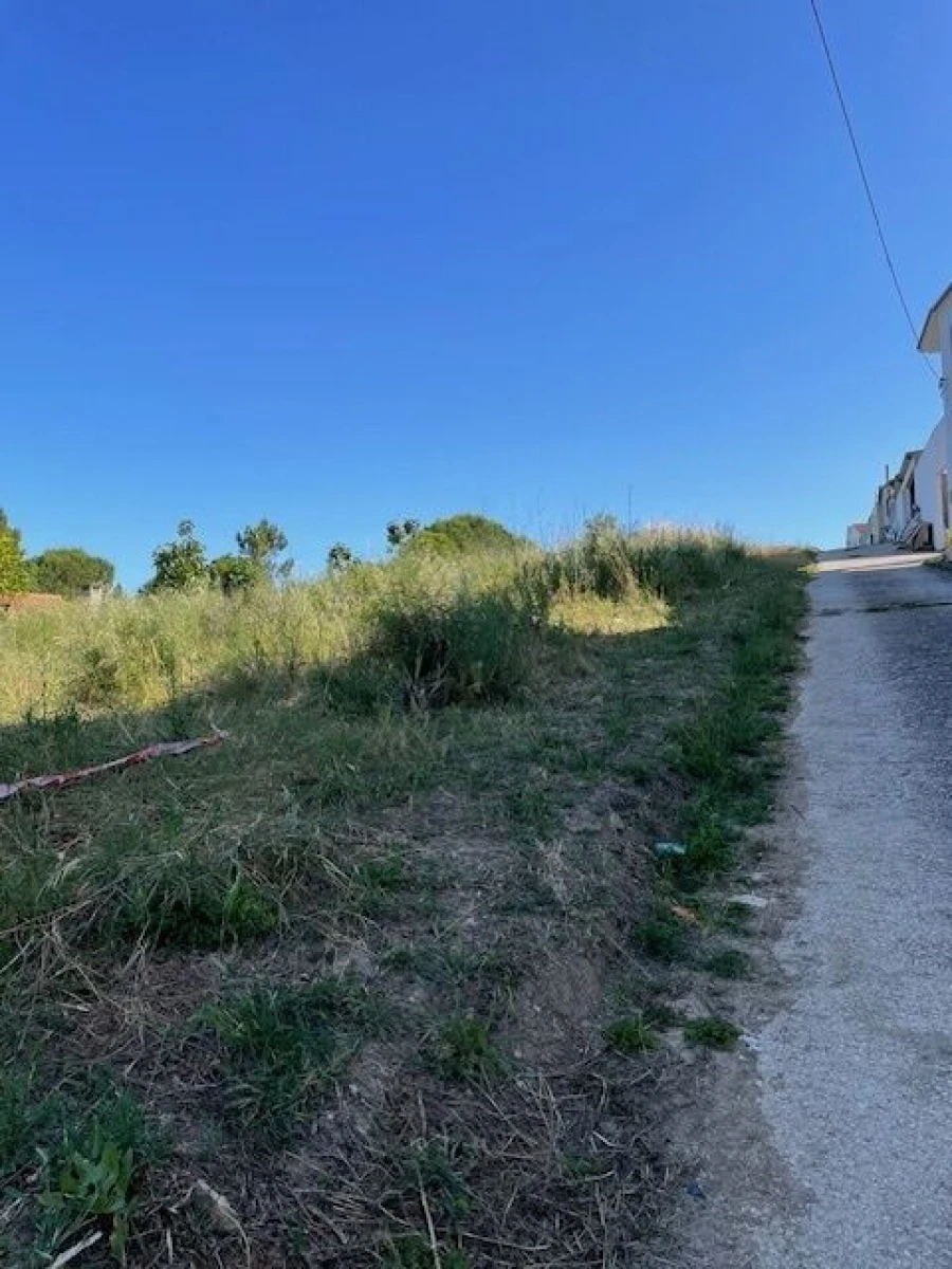 Terreno para Venda em São João Baptista e Santa Maria dos Olivais Foto 8
