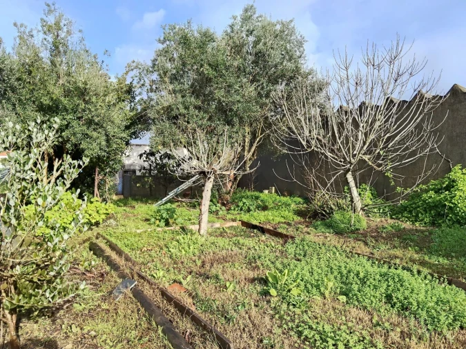 Moradia T5 para Venda em Colos Foto 6