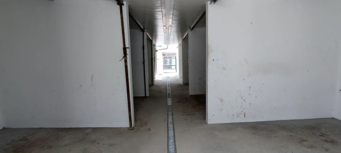 Moradia T5 para Venda em Golegã Foto 31