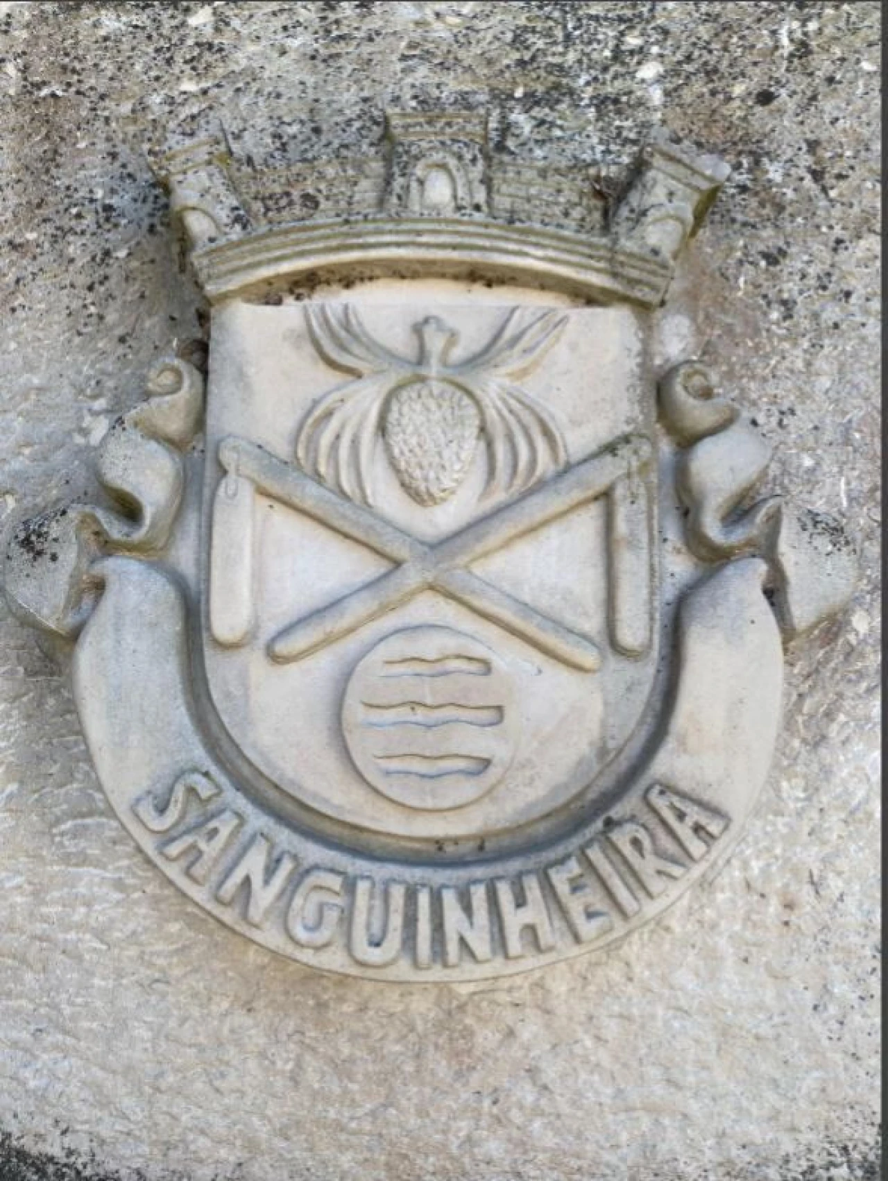 Moradia T3 para Venda em Sanguinheira Foto 38