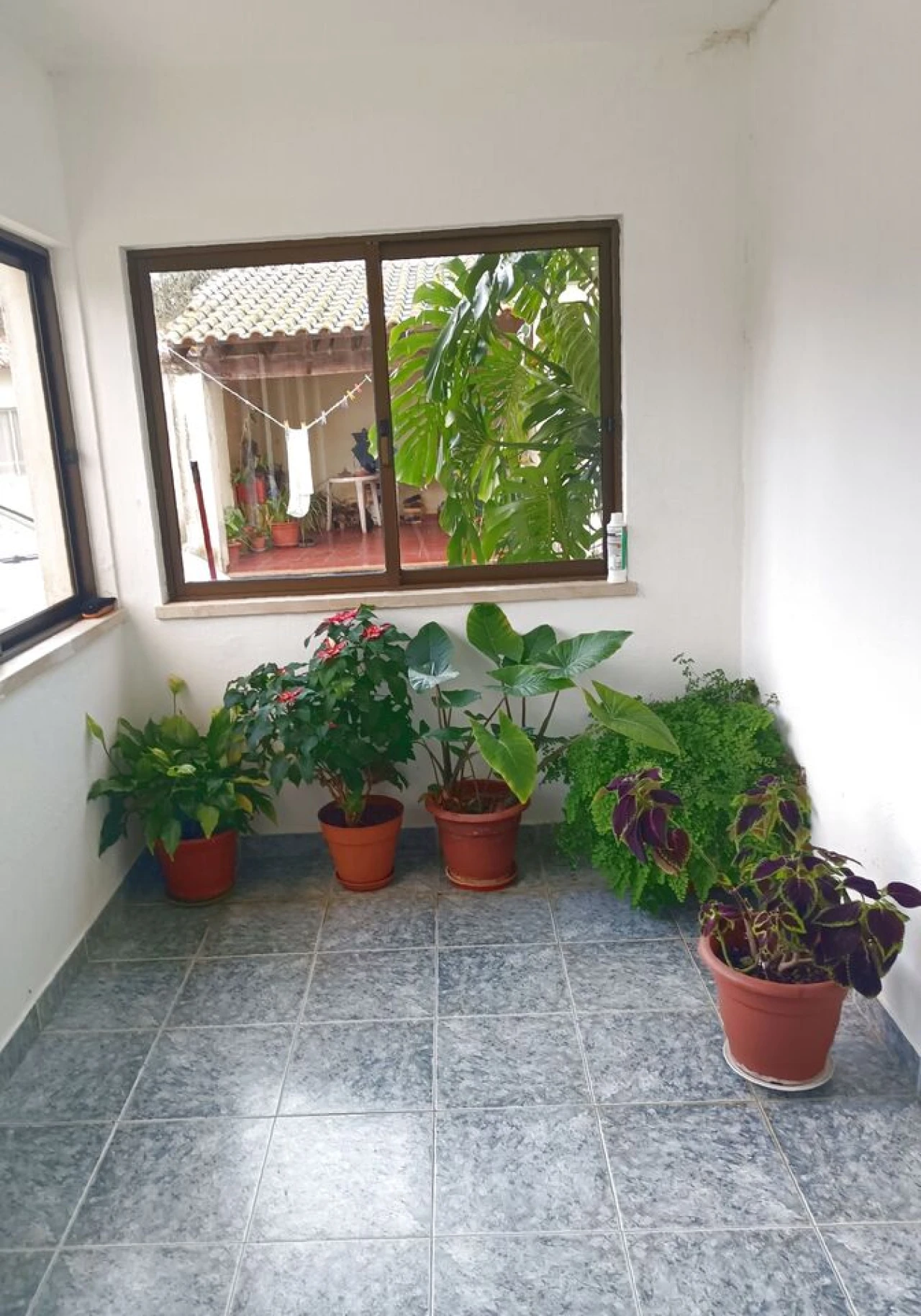 Moradia T4 para Venda em Reguengo Grande Foto 14