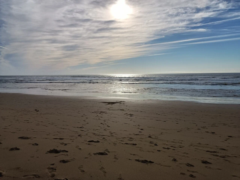 Moradia T4 para Venda em Reguengo Grande Foto 22