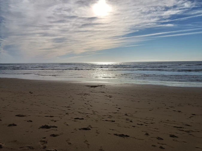 Moradia T4 para Venda em Reguengo Grande Foto 22