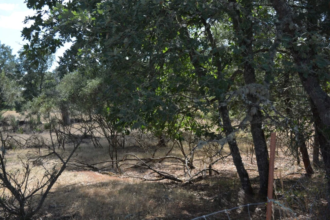 Terreno para Venda em Casal de Cinza Foto 6