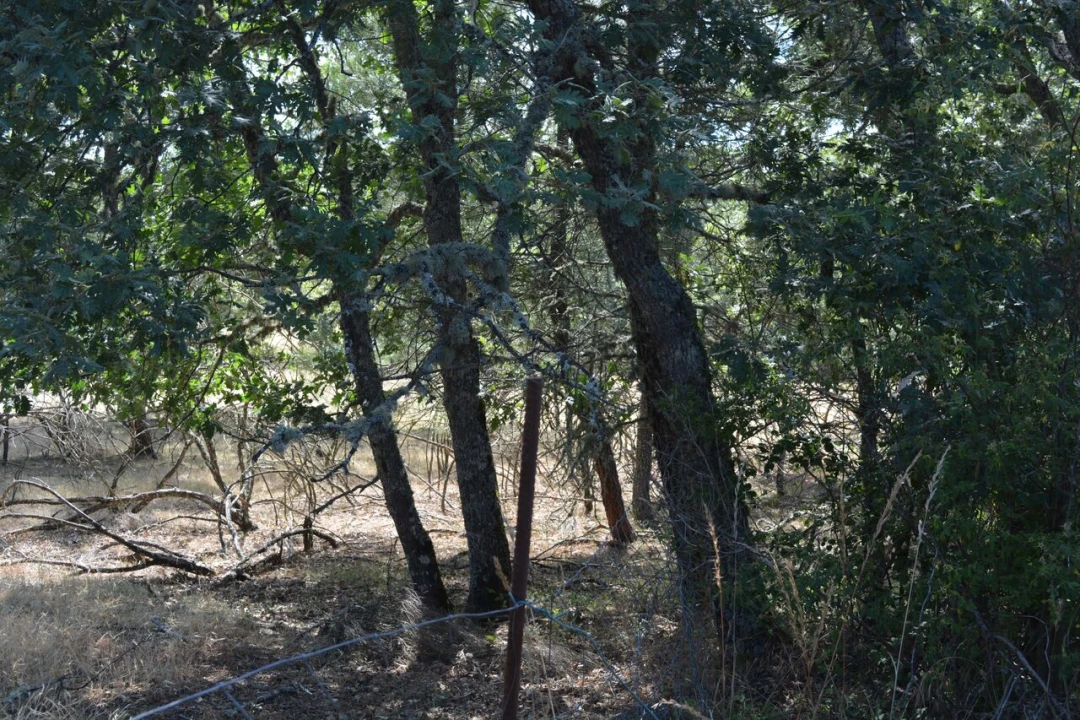 Terreno para Venda em Casal de Cinza Foto 7