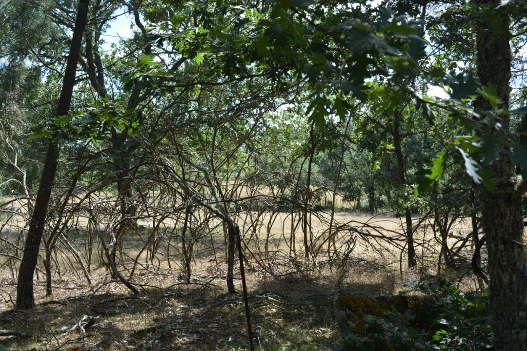 Terreno para Venda em Casal de Cinza Foto 9
