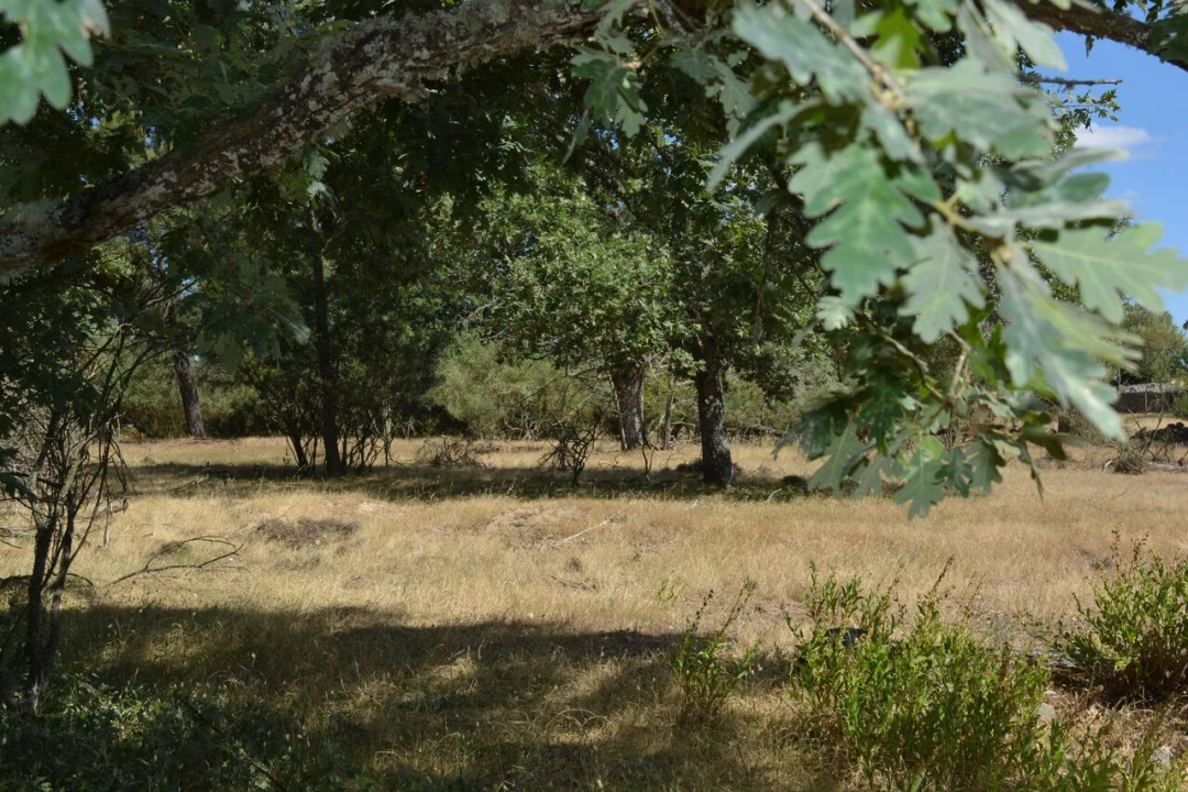 Terreno para Venda em Casal de Cinza Foto 11