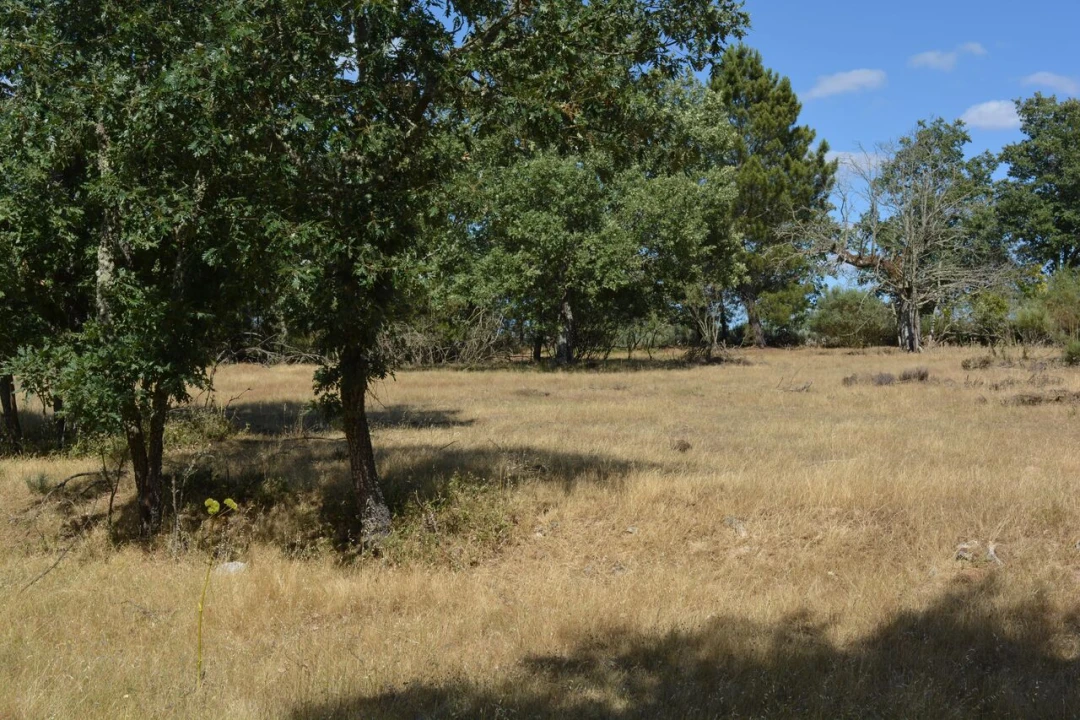 Terreno para Venda em Casal de Cinza Foto 24