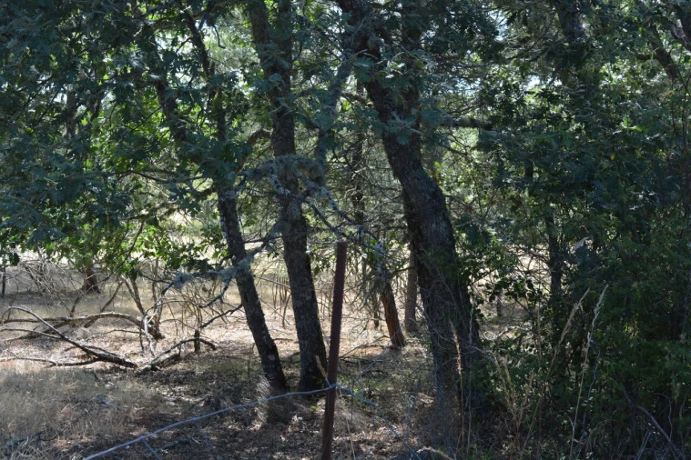 Terreno para Venda em Casal de Cinza Foto 7