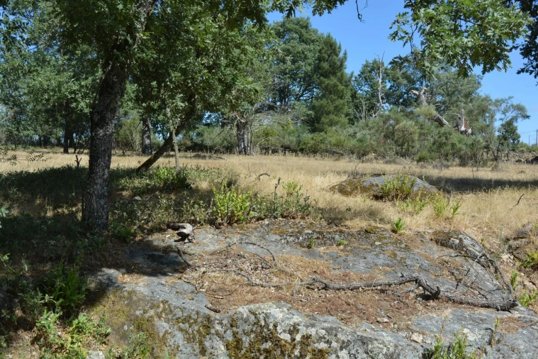 Terreno para Venda em Casal de Cinza Foto 17