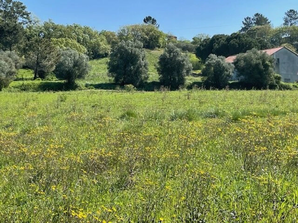Terreno para Venda em São João Baptista e Santa Maria dos Olivais Foto 7