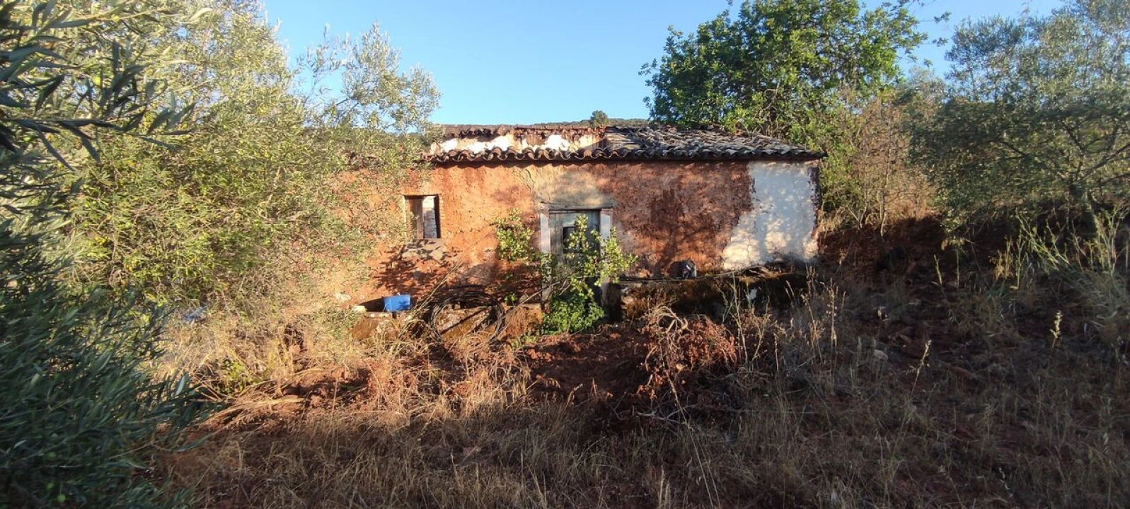 Terreno para Venda em Alte Foto 6