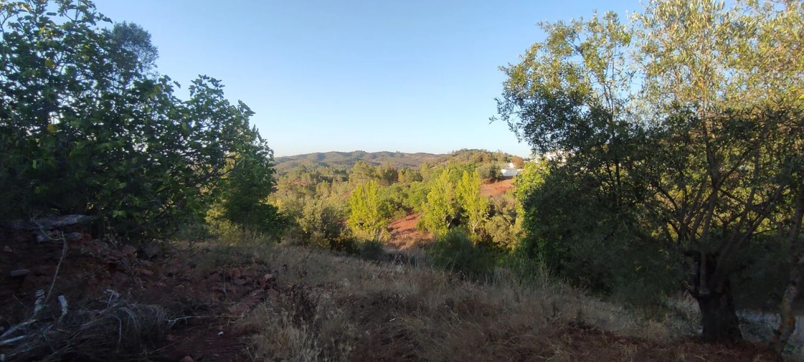 Terreno para Venda em Alte Foto 7